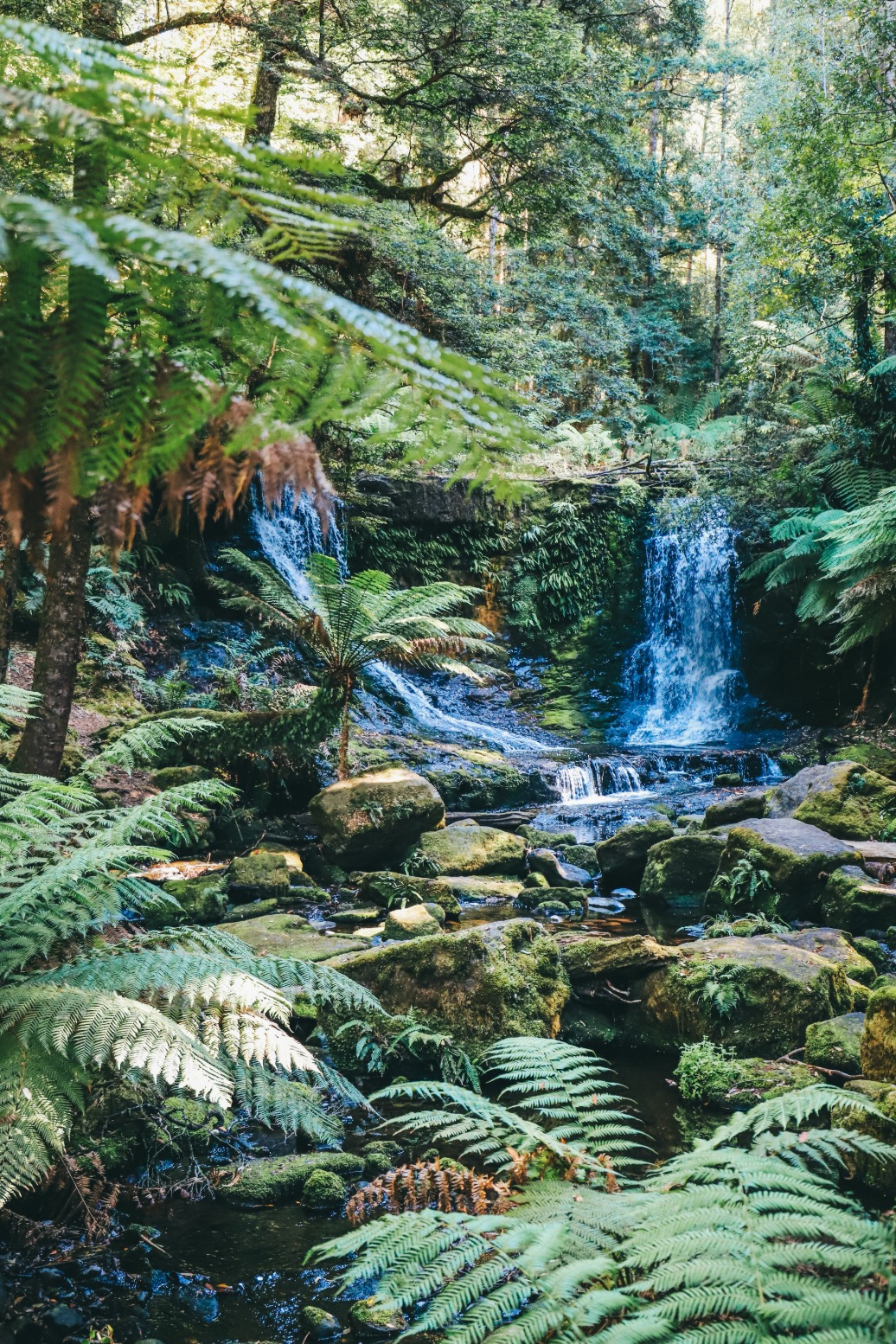 Ancient Australian Water Source